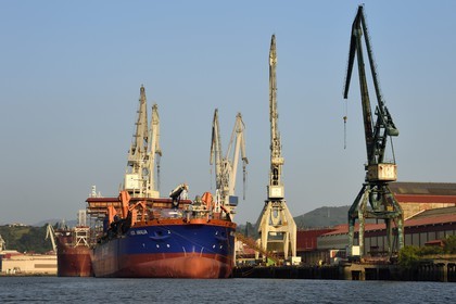 Espagne, Pays basque espagnol, Biscaye, Sestao, port industriel de Bilbao sur le fleuve Nervion centré sur la sidérurgie et la construction navale, chantiers navals Construcciones Navales del Norte (La Navale de Sestao)