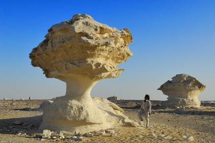 Egypte, désert libyque, le Désert Blanc au nord de Farafra