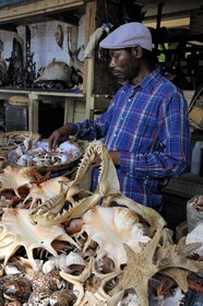 Tanzania, Dar es-Salaam, vendors of shells & co at the Kivukoni fish market