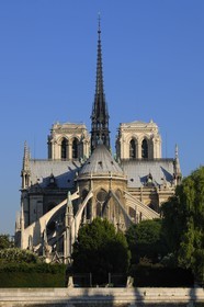 France, Paris (75), Ile de la Cité, cathédrale Notre-Dame de Paris