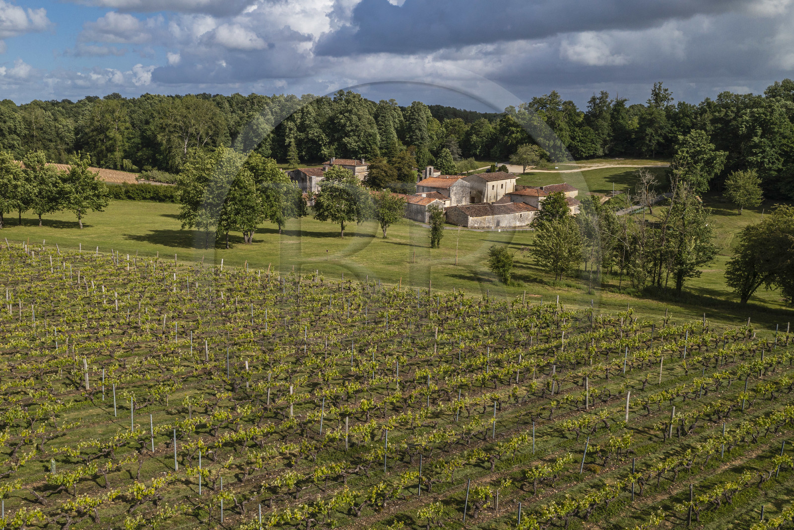 France, Charente-Maritime (17), Saint-Bris-des-Bois, abbaye de Fontdouce, ancienne abbaye bénédictine fondée en 1111 en bordure du vignoble(vue aérienne)