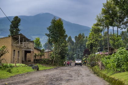 Rwanda, Province du Nord, District de Musanze (Ruhengeri), Busogo, piste menant au mont Karisimbi dans les montagnes des Virunga dont il est le point culminant (en arrière plan) et où vivent les gorilles