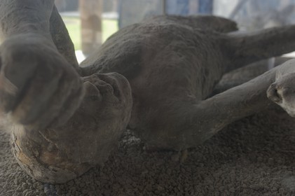 Italie, Campanie, Pompei, site archéologique classé Patrimoine Mondial de l'UNESCO, moulage d’empreintes de victimes de l'éruption