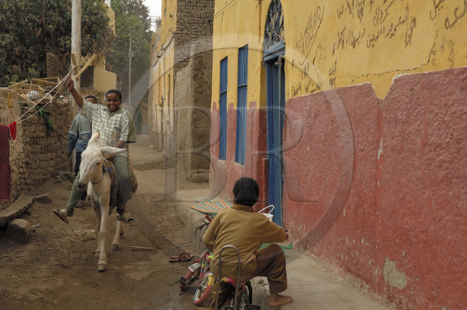 Egypte, Haute Egypte, Nubie, vallée du Nil, Assouan, Ile Elephantine, le village nubien