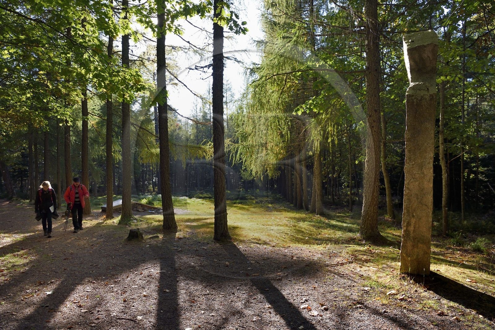 France, Bas-Rhin (67), Ottrott, Mont Sainte-Odile, site du crash de l'Airbus A320 le 20 janvier 1992 faisant 87 morts sur les hauteurs de La Bloss