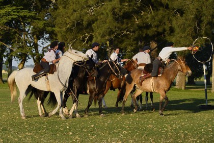 Argentine, province de Buenos Aires, San Antonio de Areco, estancia La Bamba de Areco, gauchos jouant au Pato (horse-ball) qui est un sport d’équipe équestre, mélange de rugby et de basket à cheval