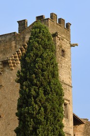 France, Vaucluse, Parc Naturel Regional du Luberon (Natural Regional Park of Luberon), Lourmarin, labelled Les Plus Beaux Villages de France (The Most Beautiful Villages of France), the castle of the 15th and 16th centuries Renaissance