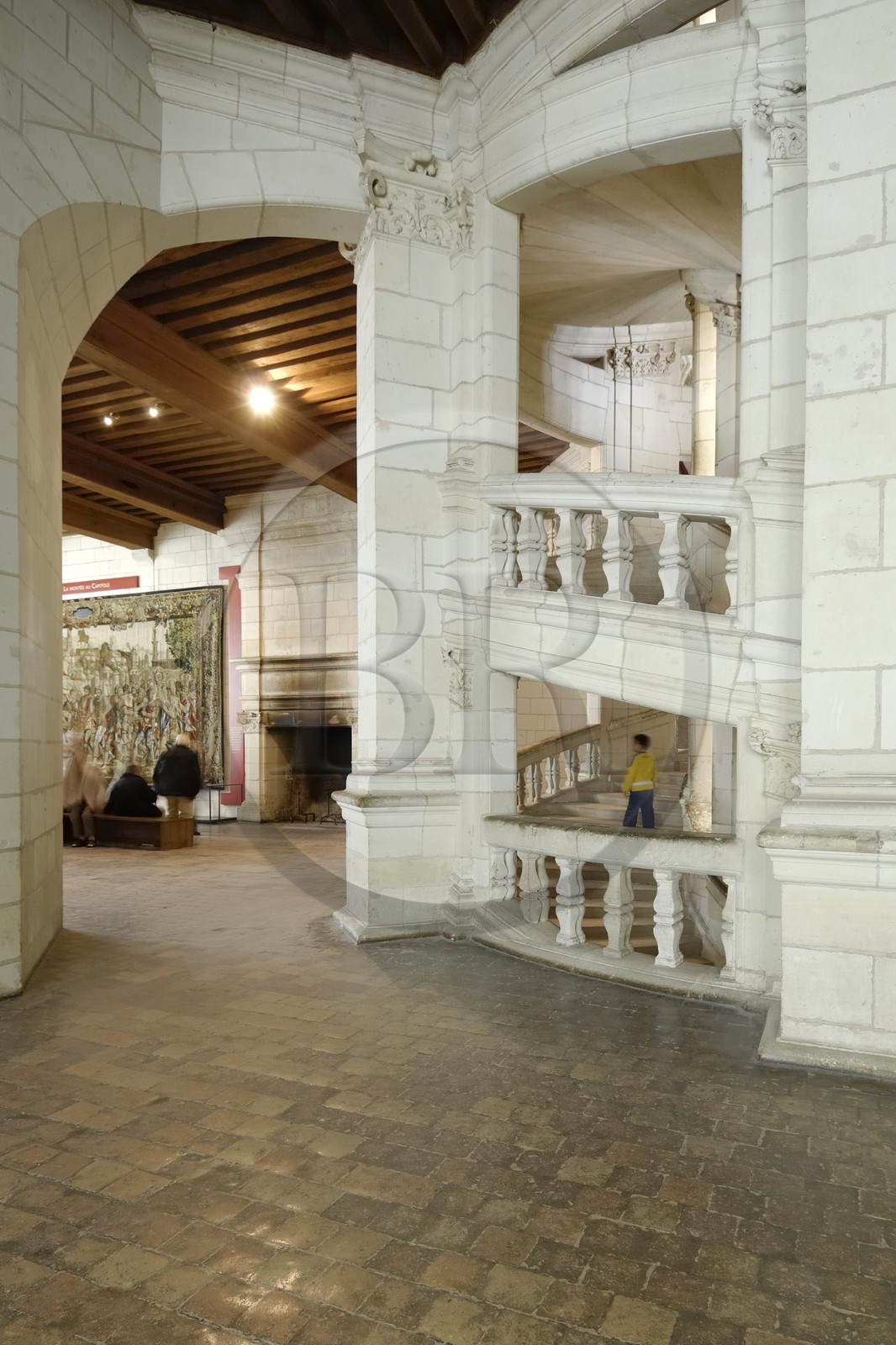 France, Loir et Cher (41), Vallée de la Loire classée Patrimoine Mondial de l' UNESCO, château de Chambord, l'escalier à double révolution attribué à Léonard de Vinci