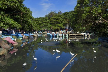 Sri Lanka, Western Province, Negombo, fishermen sorting their nets