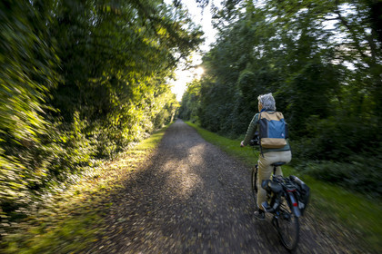 France, Yonne, Auxerre, cyclist on the Green Belt which follows the old railway line linking Auxerre to Gien