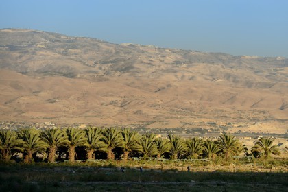 Israel, district Nord, Basse Galilée, la vallée du Jourdain et les montagne de Jordanie en arrière plan