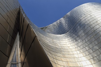 Spain, Basque Country, Biscay Province, Bilbao, the Guggenheim Museum designed by Frank Gehry, detail of a facade in titanium