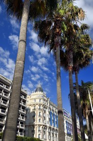 France, Alpes-Maritimes, Cannes, the Carlton palace on the boulevard de la Croisette