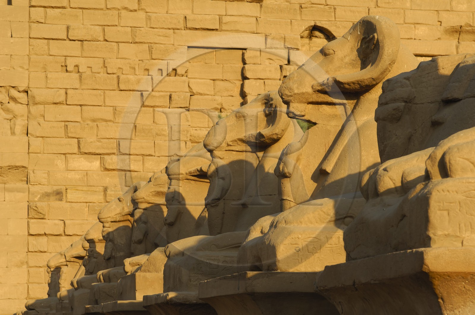 Egypte, Haute Egypte, vallée du Nil, Louxor, Karnak, classé Patrimoine Mondial de l'UNESCO, allée des sphinx
