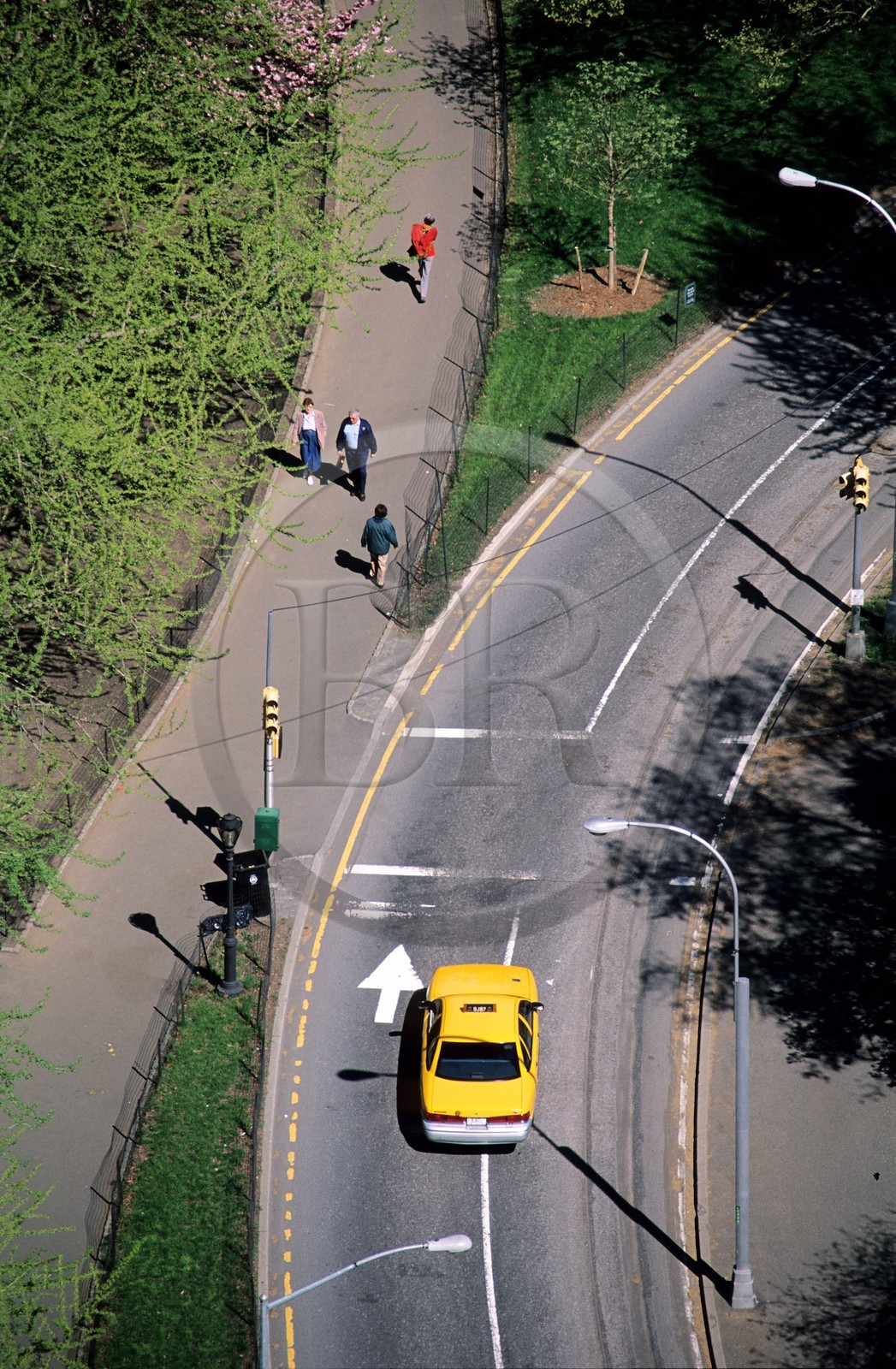 Etats-Unis, New York, Manhattan, Central Park