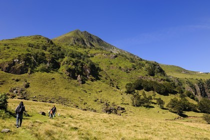 France, Cantal, France, Cantal, monts du Cantal, Parc Naturel Régional des Volcans d'Auvergne (regional nature park of Auvergne volcanoes), hiking at the bottom of the Puy-Mary mount (1783m)