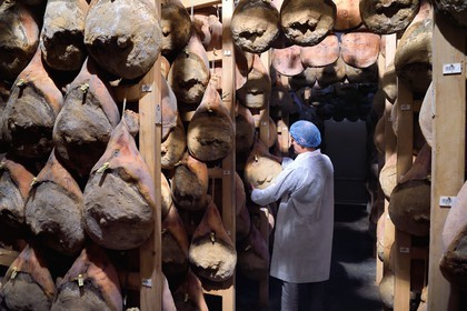 France, Pyrenees Atlantiques, Basque Country, Aldudes valley, the Aldudes collective dryer ensures the drying and the ripening of hams, ripening area
