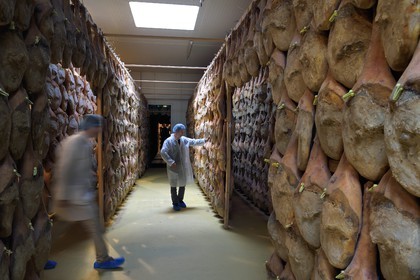 France, Pyrenees Atlantiques, Basque Country, Aldudes valley, the Aldudes collective dryer ensures the drying and the ripening of hams, ripening area