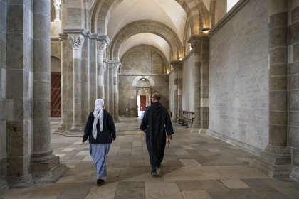 France, Yonne, regional natural park of Morvan, Vézelay, a UNESCO World Heritage site, labelled Les Plus Beaux Villages de France, starting point of one of the main ways to Santiago de Compostela, the Basilica of Saint Mary Magdalene