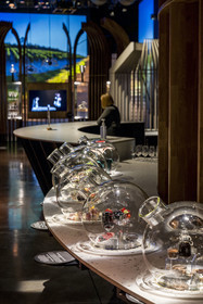 France, Cote d'Or, Climats terroirs of Burgundy listed as World Heritage by UNESCO, Beaune, the Cité des vins et climats de Bourgogne, sensory experiences