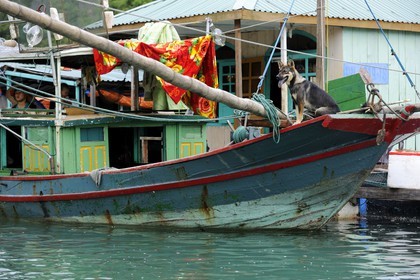 Vietnam, Quang Ninh Province, Halong Bay, listed as World Heritage by UNESCO, fishing floating village of Vong Vieng