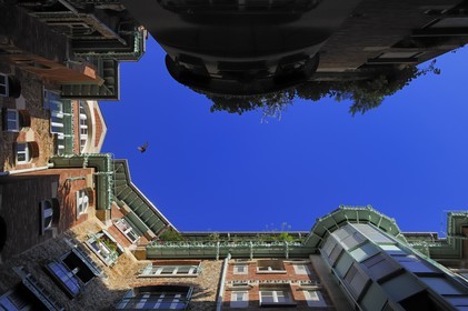 France, Paris (75), le Castel-Beranger, immeuble du 14 rue La Fontaine de style Art Nouveau  par Hector Guimard