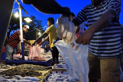 Sri Lanka, Western Province, Negombo, the port fish market