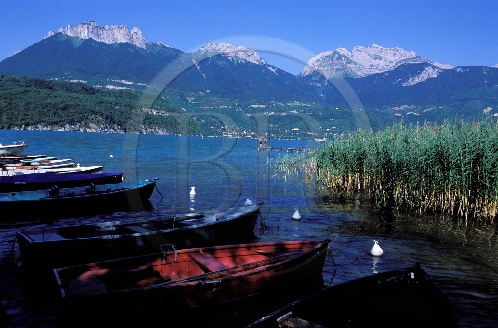 France, Haute-Savoie (74), bords du lac d'Annecy à Saint-Jorioz, barques et roseaux