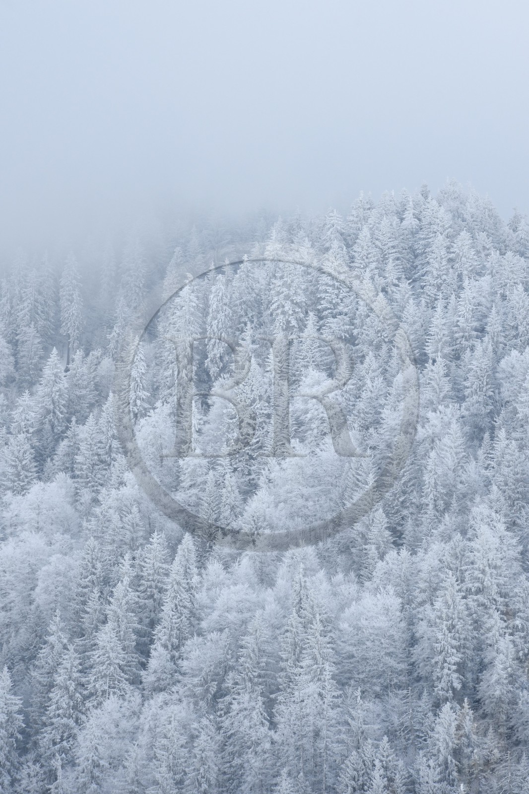 France, Haute-Savoie (74), Morzine