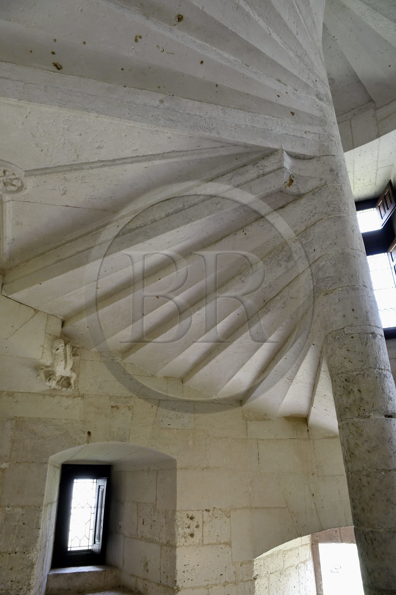 France, Dordogne (24), Périgord Vert, Villars, château de Puyguilhem, pavillon Barlong,  griffon sous le grand escalier en vis