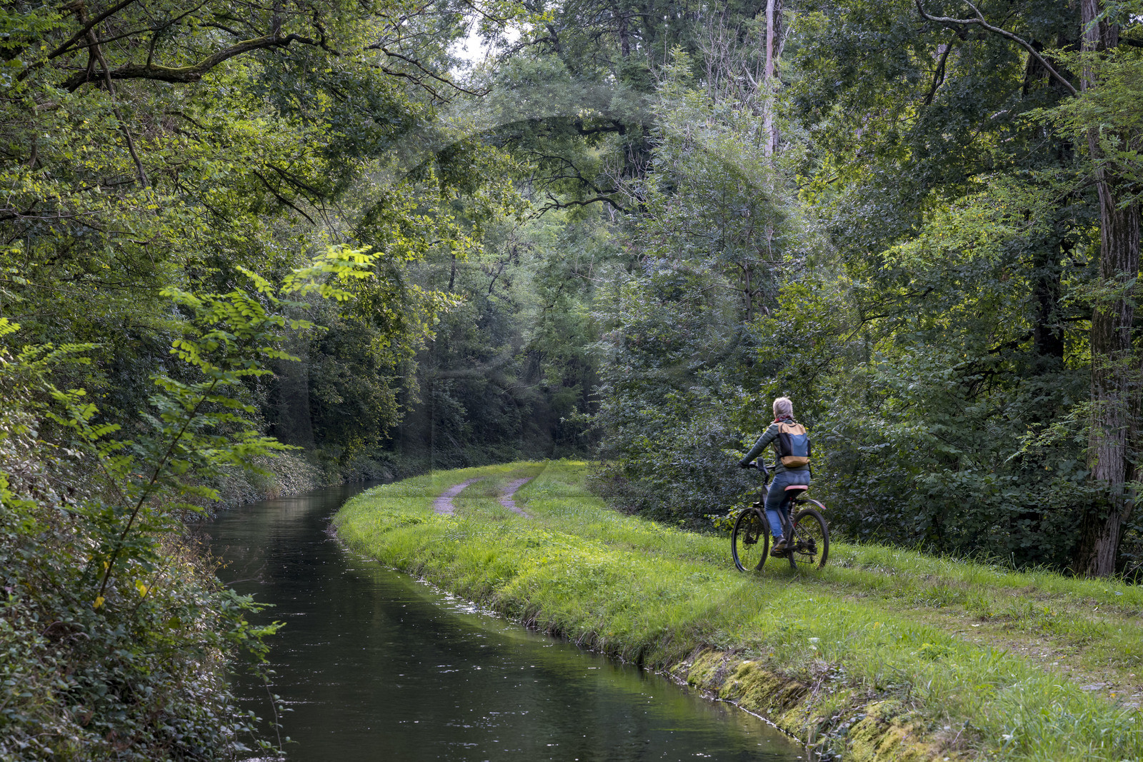 France, Nièvre (58), Parc naturel régional du Morvan, Montigny-en-Morvan en aval du lac de Pannecière, cycliste sur le chemin bordant la Rigole d’Yonne qui puise les eaux de l'Yonne au lac de Pannecière et alimente le canal du Nivernais
