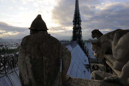 France, Paris (75), île de la Cité, la cathédrale Notre-Dame, les chimères observent la ville