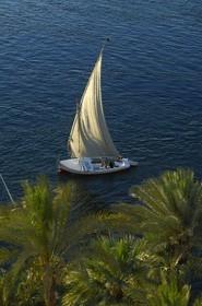 Egypt, Upper Egypt, Nile Valley, Aswan, feluccas on Nile River