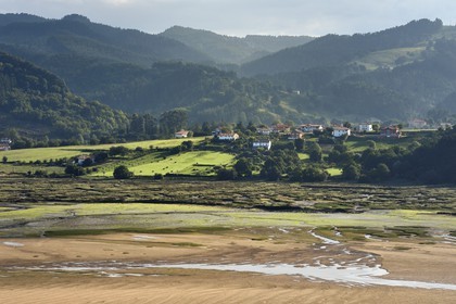 Spain, Basque Country, Biscay Province, Gernika-Lumo region, Urdaibai estuary Biosphere Reserve, estuary of the Oka River at low tide south of Mundaka