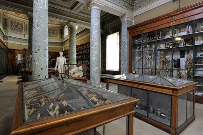 France, Hérault (34), Montpellier, centre historique, faculté de médecine, le musée d'anatomie