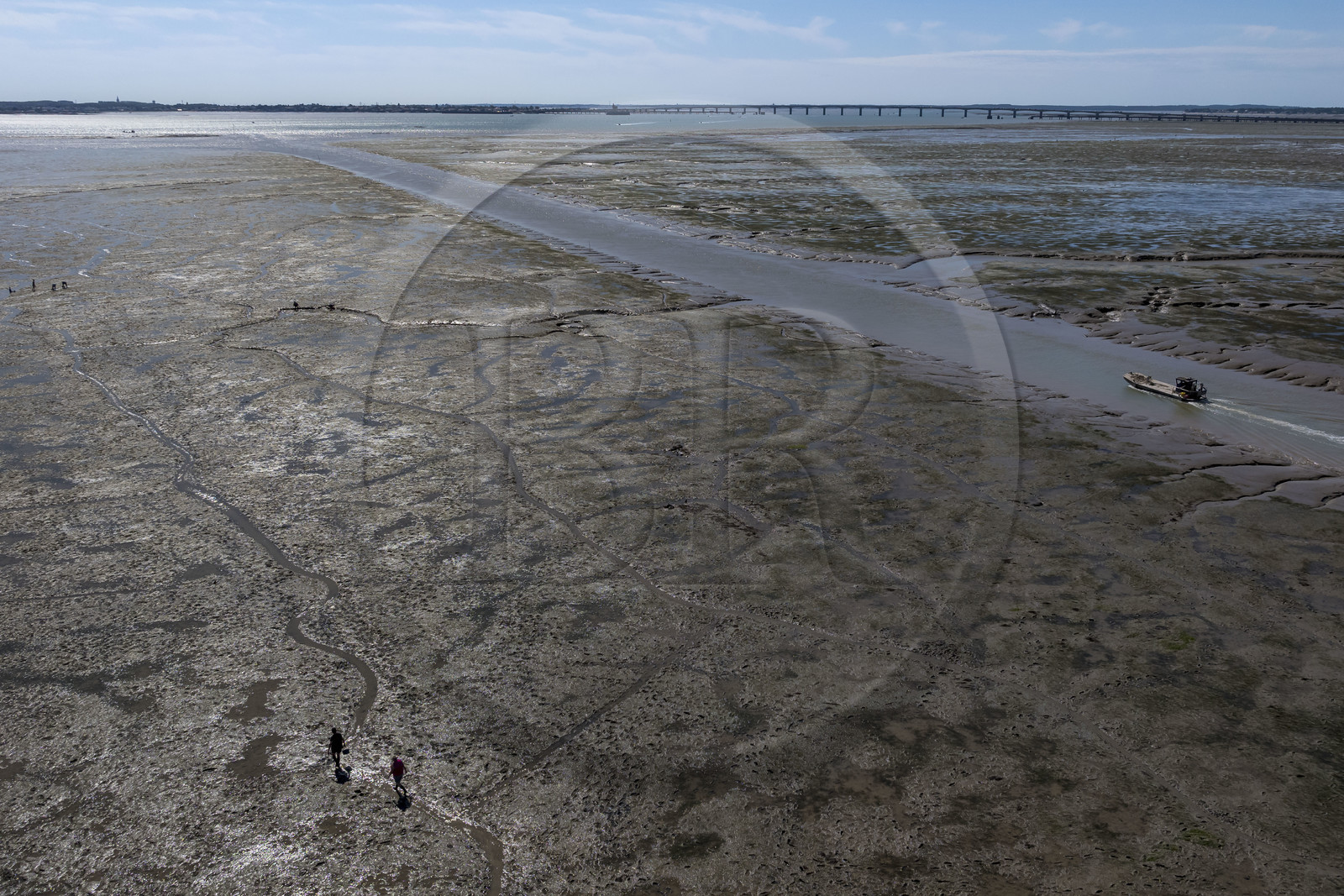 France, Charente-Maritime (17), Ile d'Oléron, le Chateau-d'Oléron, bateau ostréicole dans le chenal de sortie du port à marée basse et pecheurs à pied sur l'estran (vue aérienne)