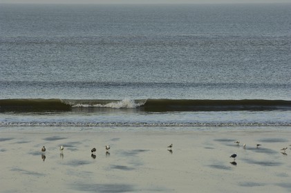 France, Charente-Maritime (17), Royan, conche de Pontaillac
