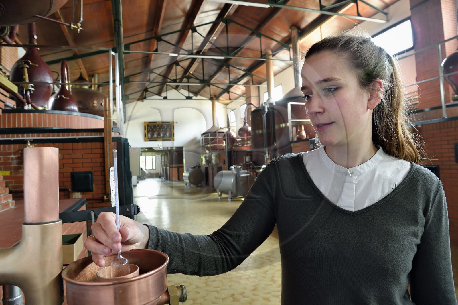 France, Charente (16), Sireuil, Distillerie des Moisans