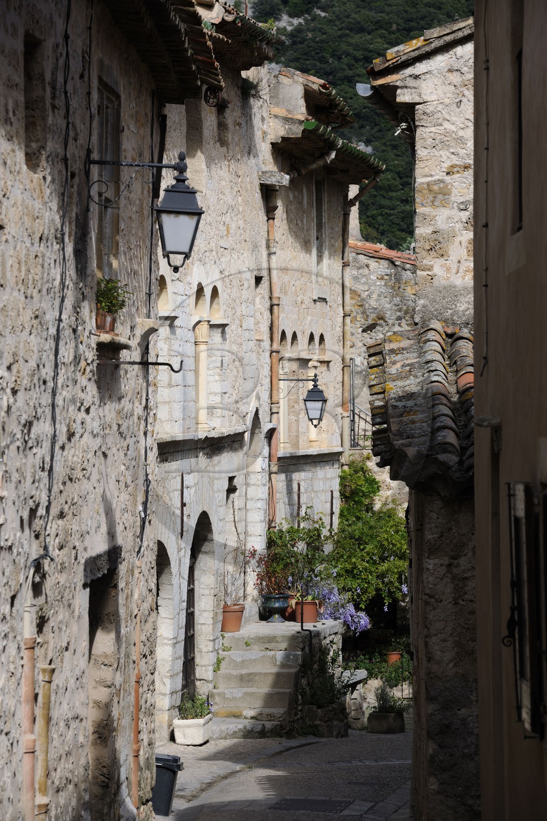 France, Hérault (34), village médiéval de Saint-Guilhem-le-Désert, labellisé Les Plus Beaux Villages de France, Rue de la Chapelle des Pénitents avec la maison Lorimi au fond à gauche