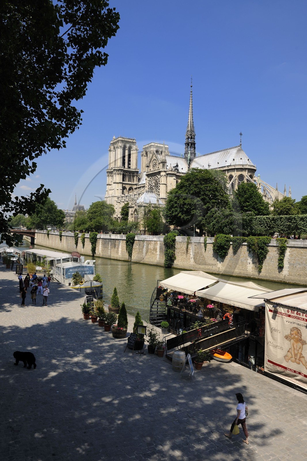 France, Paris (75), les rives de la Seine classées Patrimoine Mondial de l'UNESCO, île de la Cité, la cathédrale Notre-Dame