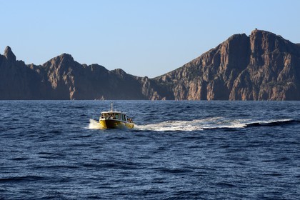 France, Corse du Sud, Golfe de Porto, listed as World Heritage by UNESCO, the Capo Rosso and the Genovese Tower of Turghiu (Turghio) in the background