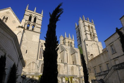 France, Hérault (34), Montpellier, centre historique, la cathédrale Saint Pierre
