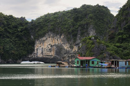 Vietnam, Quang Ninh Province, Halong Bay, listed as World Heritage by UNESCO, fishing floating village of Vong Vieng