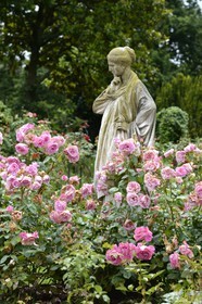 France, Ille-et-Vilaine, Rennes, Thabor Parc, the Botanical Garden and the Rose Garden