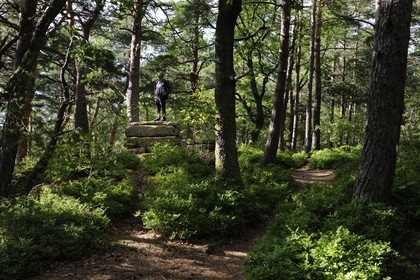 France, Bas-Rhin (67), le Mont Saint-Odile, le mur païen