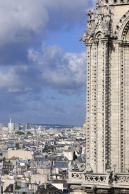 France, Paris (75), île de la Cité, la cathédrale Notre-Dame, les gargouilles et les chimères observent la ville