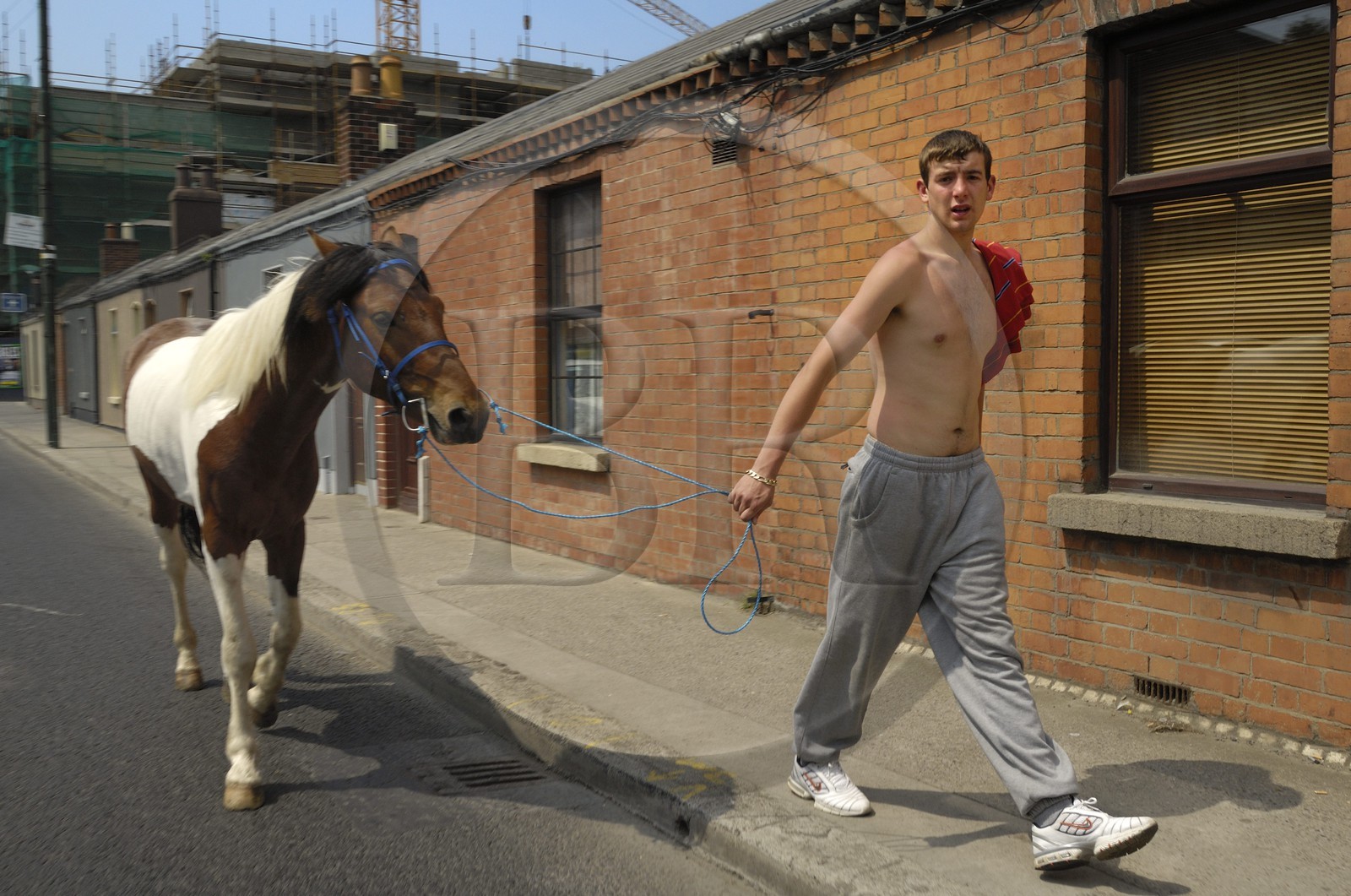 Irlande, Dublin, homme dans une rue des faubourgs avec son cheval
