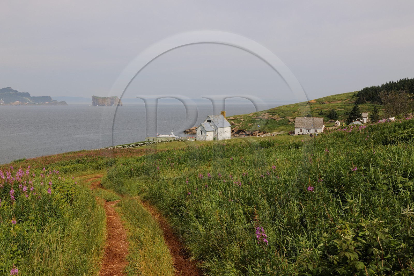 Canada, province de Québec, Gaspésie, île Bonaventure, village côtier de maisons de bois et le Rocher Percé