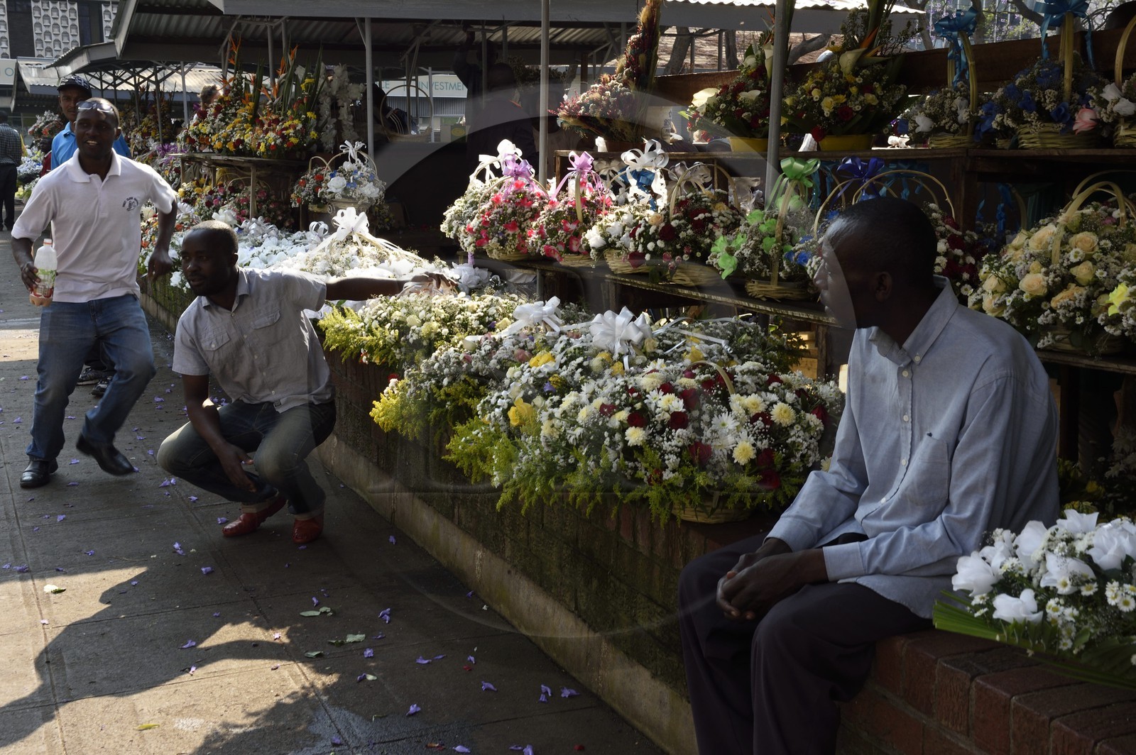 Zimbabwe, Harare, fleuristes sur la place African Unity Square (anciennement Cecil Square)