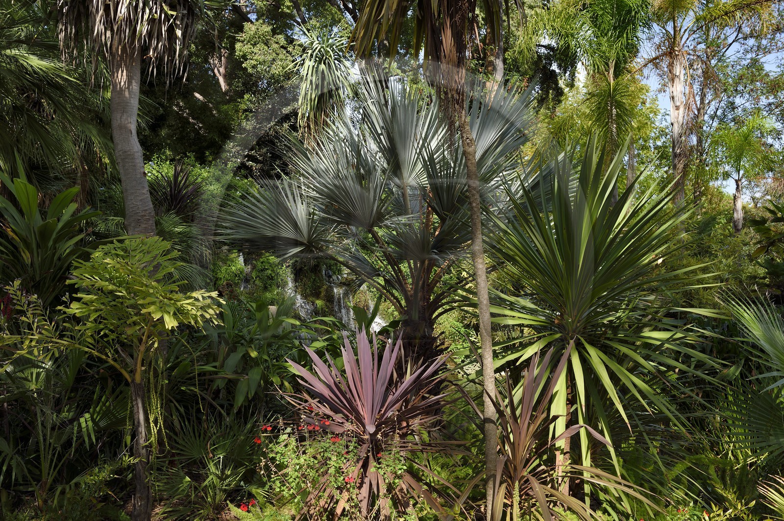 France, Var (83), Hyères, Parc Olbius-Riquier